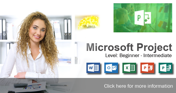 Microsoft Project Course