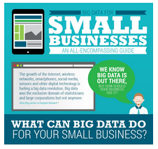 What can Big Data do for your Small Business?
