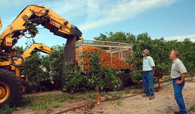 Robotics and the Future of Agriculture