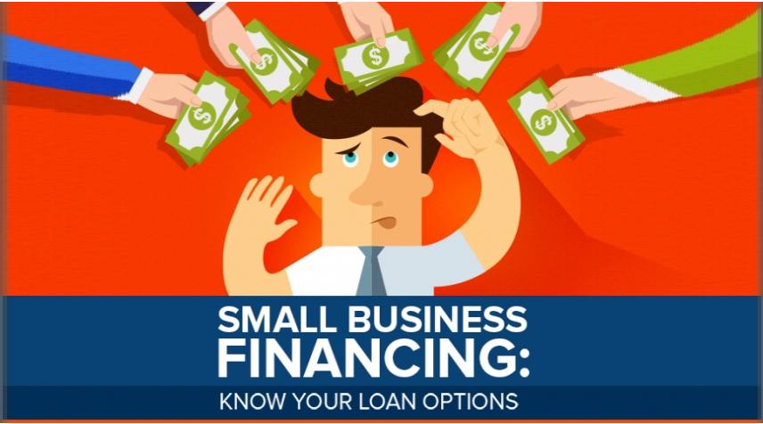Small Business Financing : Know Your Loan Options [ Infographic ]