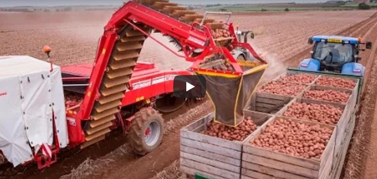 Smart Farming, Agriculture Technology employed by todays Potato Growers