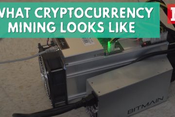 Cryptocurrency: This is what Bitcoin mining looks like
