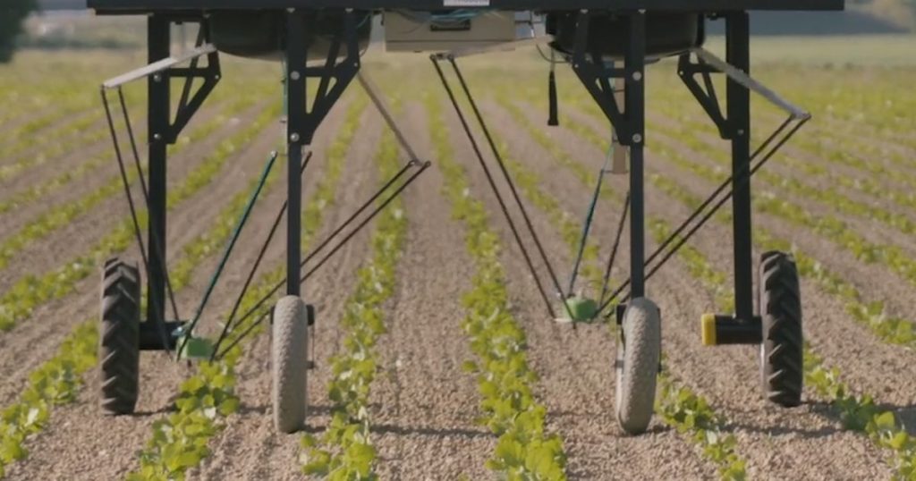 These Weed-killing Robots could give Big Agrochemical Companies a Run for their Money