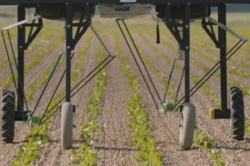 These Weed-killing Robots could give Big Agrochemical Companies a Run for their Money
