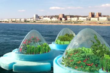 “Floating farm” design could see vegetables grown at Sea