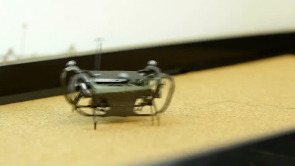 Robotic cockroach can walk on land and swim underwater