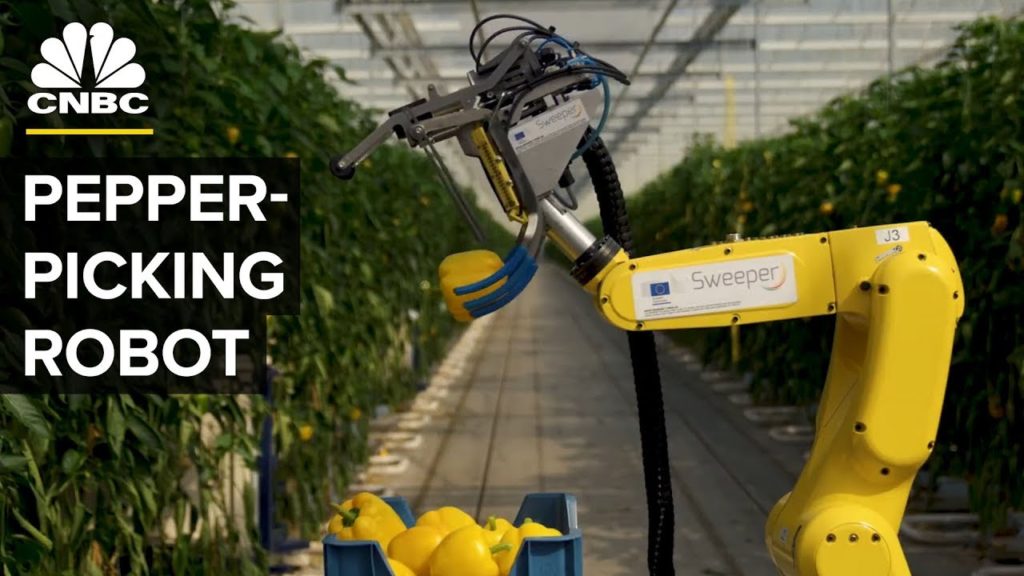 Watch this AI Robot Pick Peppers with a Tiny Saw