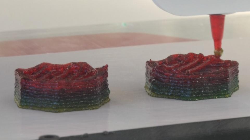 The 3D-Printed customisable Food Supplements