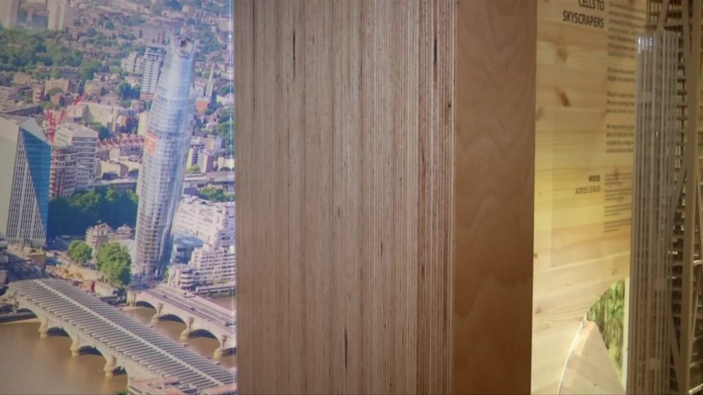 Wooden Skyscrapers could reshape our Cities