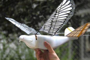 Bionic Flying Bird soars at China Robot Show