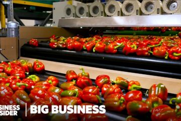 How One Tiny Country Rivals American Farming